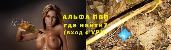 прущие грибы Нея