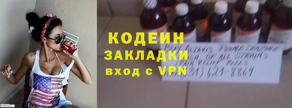 прущие грибы Нея