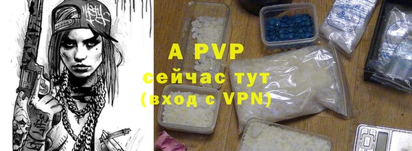 ПСИЛОЦИБИНОВЫЕ ГРИБЫ Нефтекумск