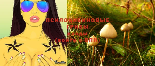 прущие грибы Нея