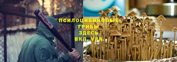 ПСИЛОЦИБИНОВЫЕ ГРИБЫ Нефтекумск