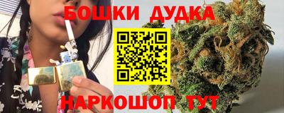 спиды Гатчина