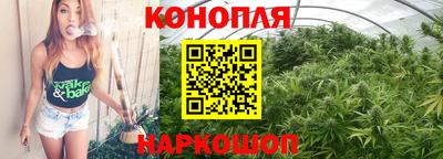 гашик Гай