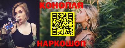 спиды Гатчина