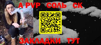 крисы Абакан
