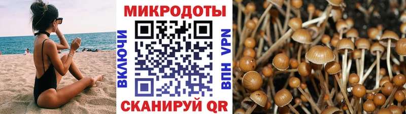 даркнет официальный сайт  где найти   Жуковский  Галлюциногенные грибы MAGIC MUSHROOMS 