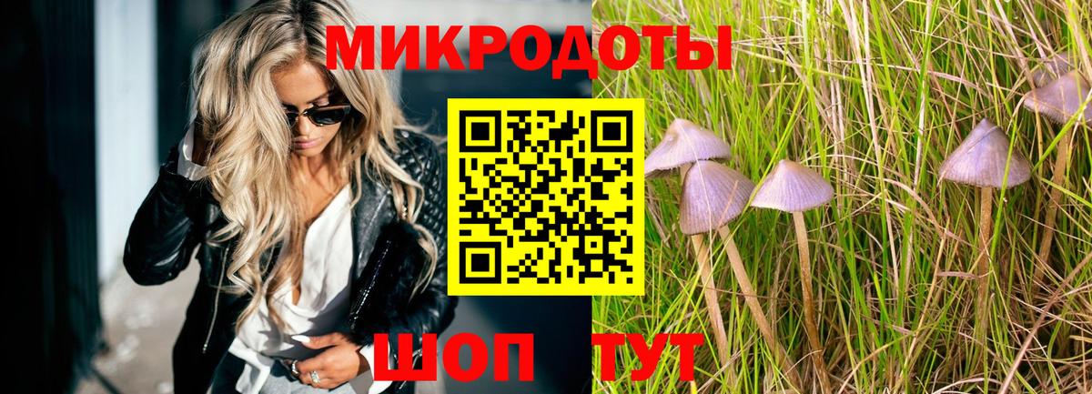 Псилоцибиновые грибы Psilocybine cubensis Жуковский